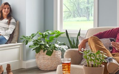 Reasons Why a Ductless System Belongs in Your Home