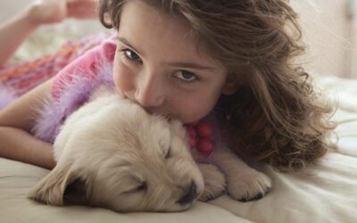 Improving Indoor Air Quality: Top 6 Tips for Cleaner, Healthier Air